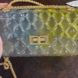 Green/Blue Transparent Small Jelly Purse NWT